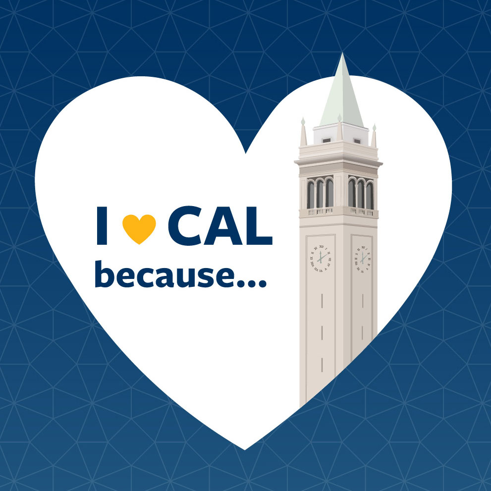 uc berkeley big give